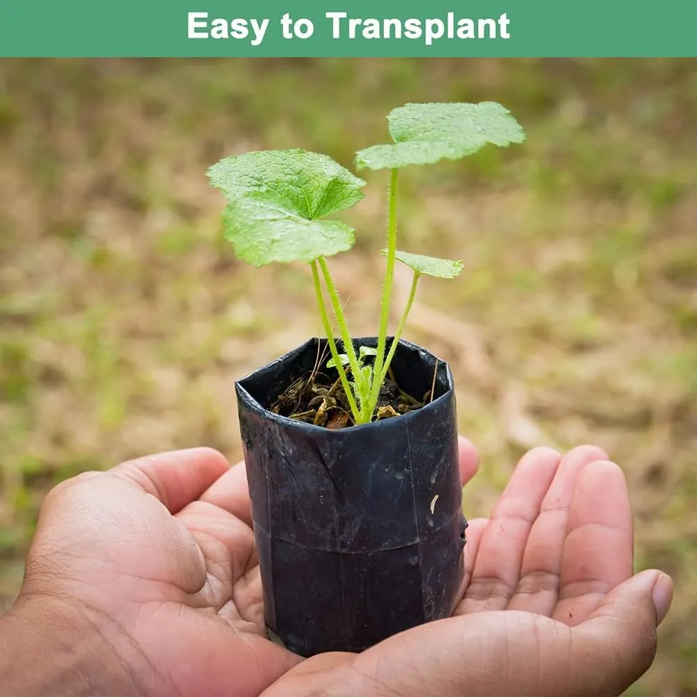 100pcs Black Nursery Grow Bags, Thickened Plastic Nursery Bags, Gardening Seed Plant Bags, Plant Grow Bags with Pores(100pcs,16x18cm)