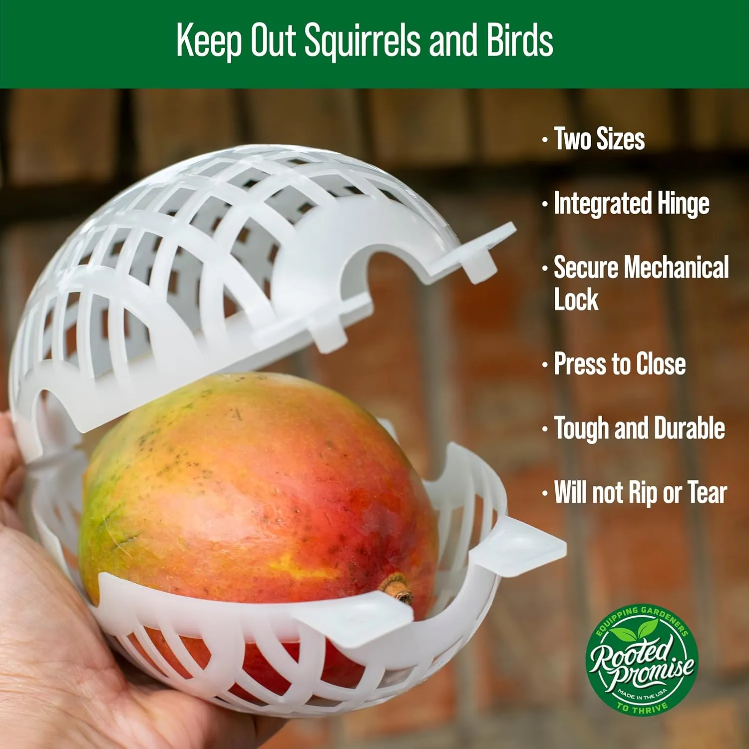12 Pack Large Fruit Protection Cages 5 x 8 inch, Perfect for Protecting mangos on Fruit Trees - Made in The USA