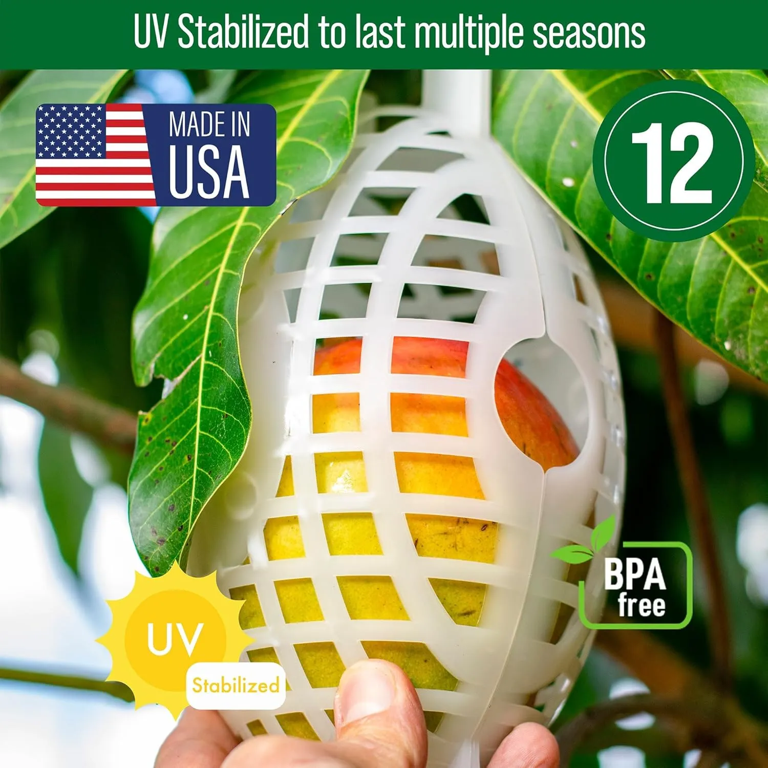 12 Pack Large Fruit Protection Cages 5 x 8 inch, Perfect for Protecting mangos on Fruit Trees - Made in The USA