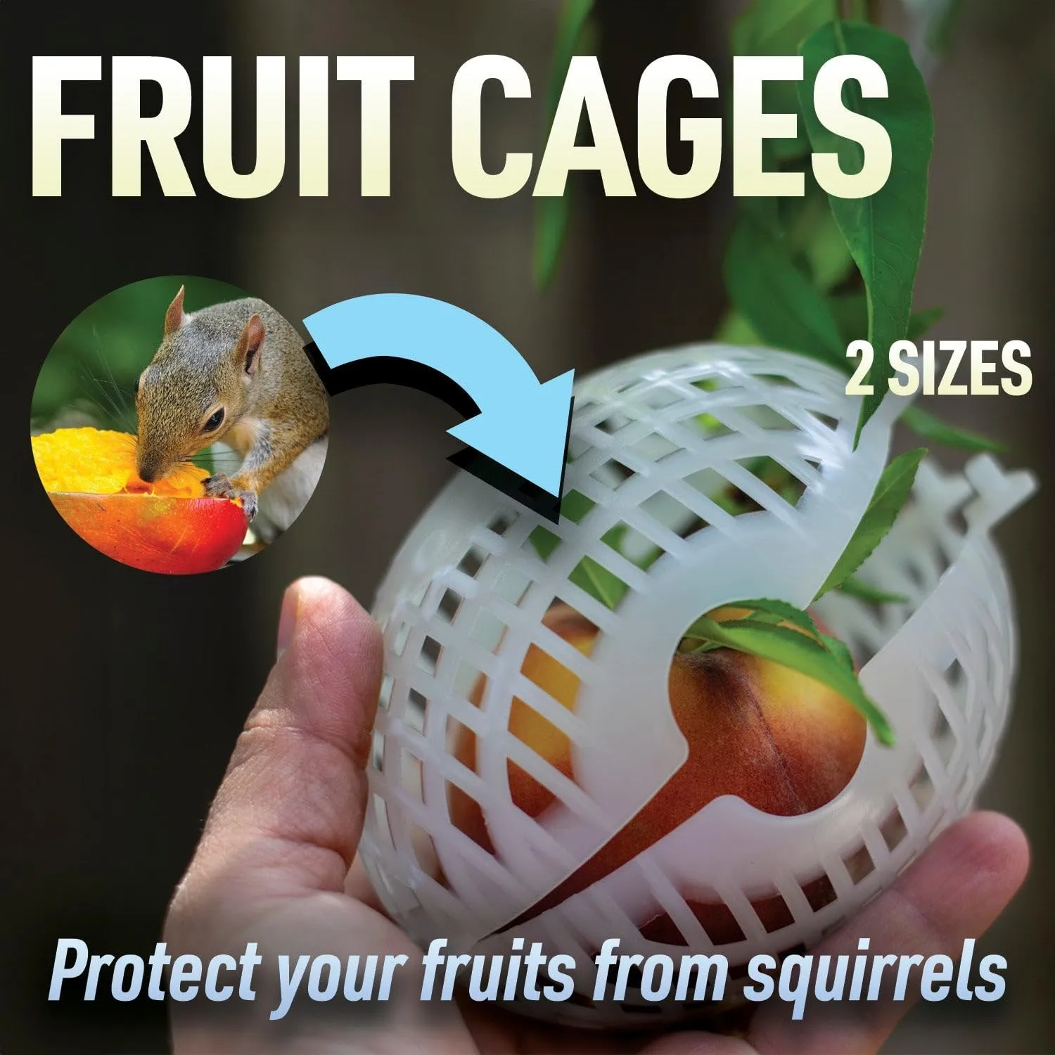 12 Pack Large Fruit Protection Cages 5 x 8 inch, Perfect for Protecting mangos on Fruit Trees - Made in The USA