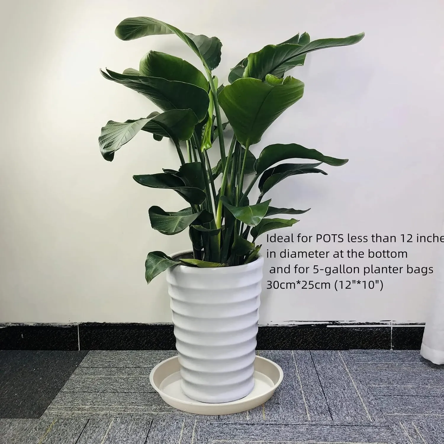 14-Inch Whited Plant Saucer for Indoors, 5 Packs Sturdy Plastic Plant Trays 12 inches in Base, Flower Pot Saucers for Outdoors.