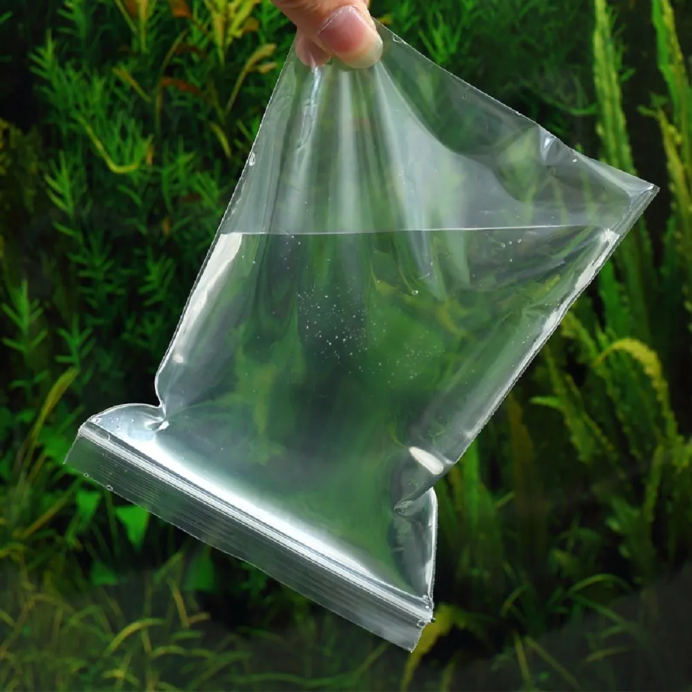 6" x 9" (200 pcs) 2 Mil Reclosable Plastic Bag Resealable Zip Bags Clear Reclosable Plastic Bags