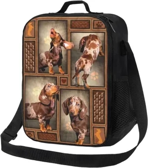 Dapple Dachshund Dog Gift Lunch Bag & Lunch Box for Men Women Double Deck - Leakproof Insulated Soft Large Adult Lunch Cooler Bag for Work