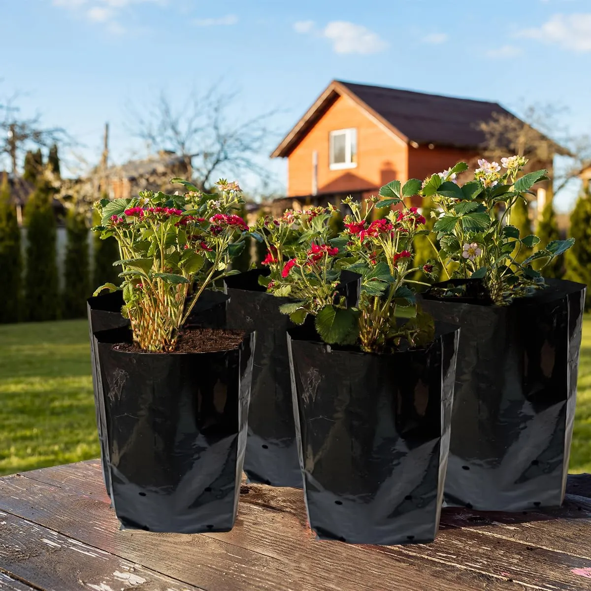 gardtree 8” x 14” 100PCS Thicken Plastic Plant Nursery Bags Nursery Grow Bags for Fruit Trees,PE Seedling Pots Seed Starter Pouch Ideal for Flower, Starting Saplings, Plant Grow Container