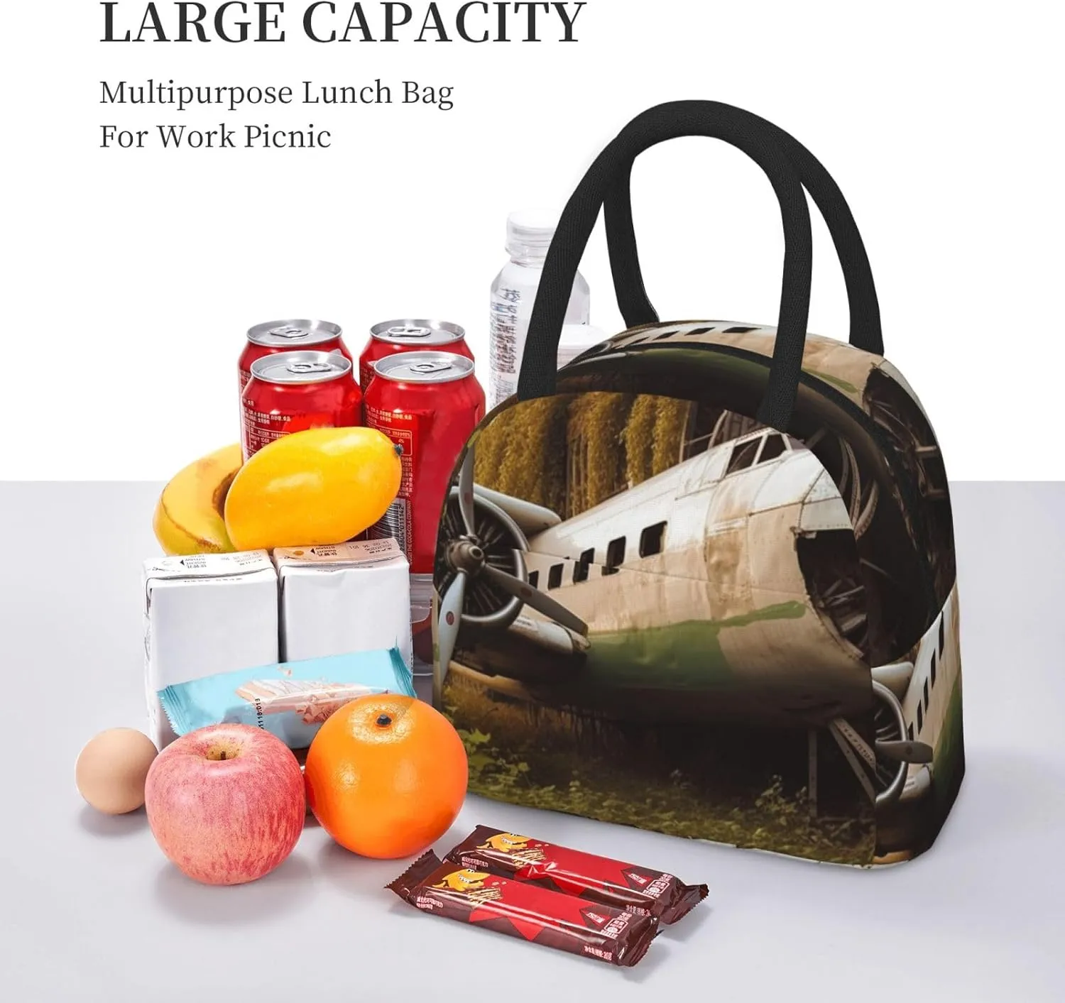 Lunch Bag for Women Men Abandoned Plane Insulated Lunch Box for Adult Reusable Lunch Tote Bag for Work Picnic Travel