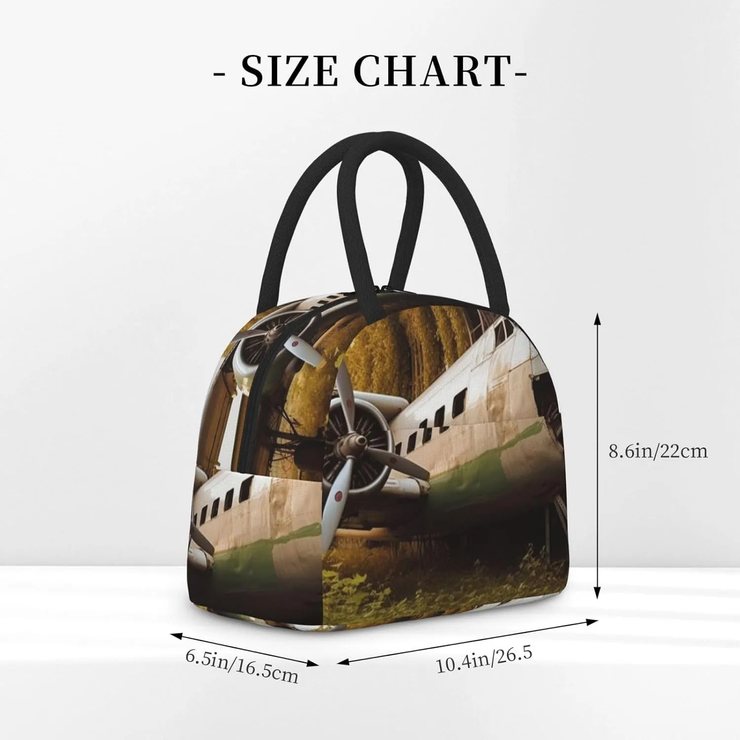 Lunch Bag for Women Men Abandoned Plane Insulated Lunch Box for Adult Reusable Lunch Tote Bag for Work Picnic Travel