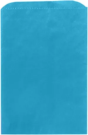 Made in USA 125-Count Party Favor Blue Paper Flat Merchandise Bags (8.5" X 11")
