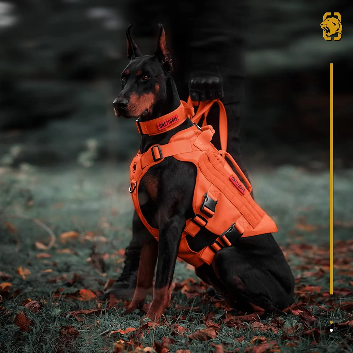 OneTigris No Pull Tactical Dog Harness for Large Dog, Mesh Design Breathable Service Dog Vest with Handle, Military Dog Vest Harness with Molle Panels for Walking Hiking Training (Orange, Large)