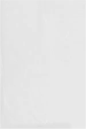 Plymor 16" x 24" (Pack of 100), 2 Mil Flat Open Clear Plastic Poly Bags