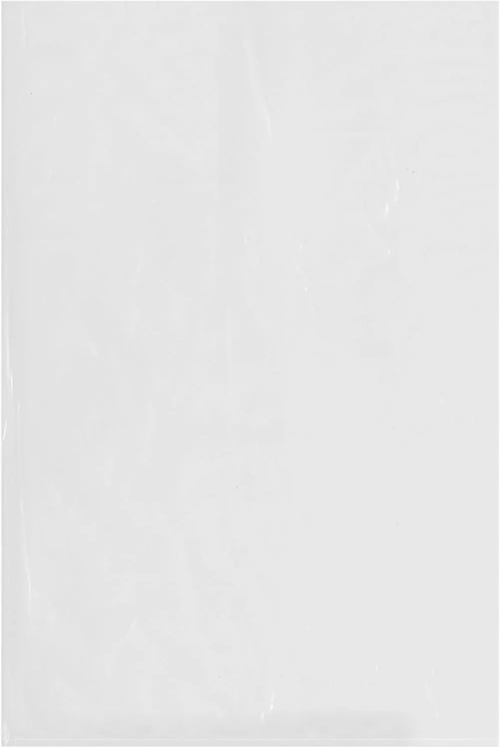 Plymor 16" x 24" (Pack of 100), 2 Mil Flat Open Clear Plastic Poly Bags