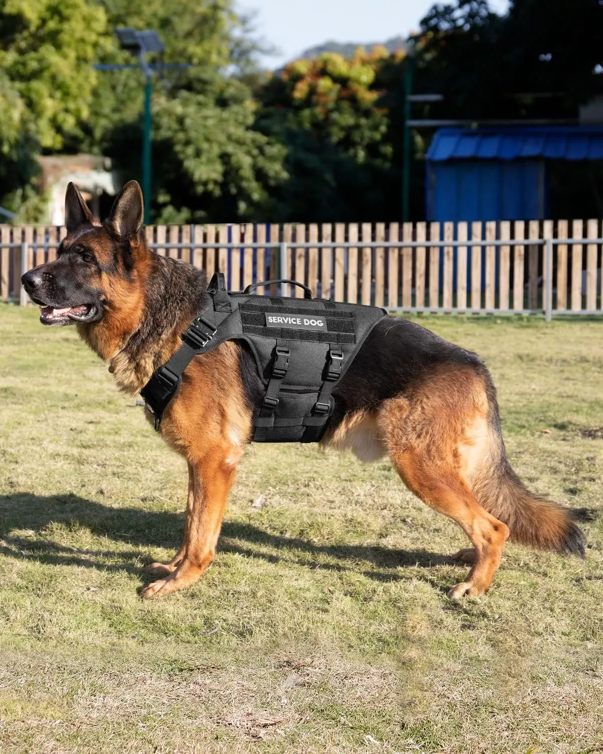 Tactical Dog Harness - PETNANNY Service Dog Vest for Large Dogs Fully Body Coverage in Training Dog Harness with 2 Reflective Dog Patches, Handle, Hook and Loop Panels, Dog MOLLE Vest (Black, XL)