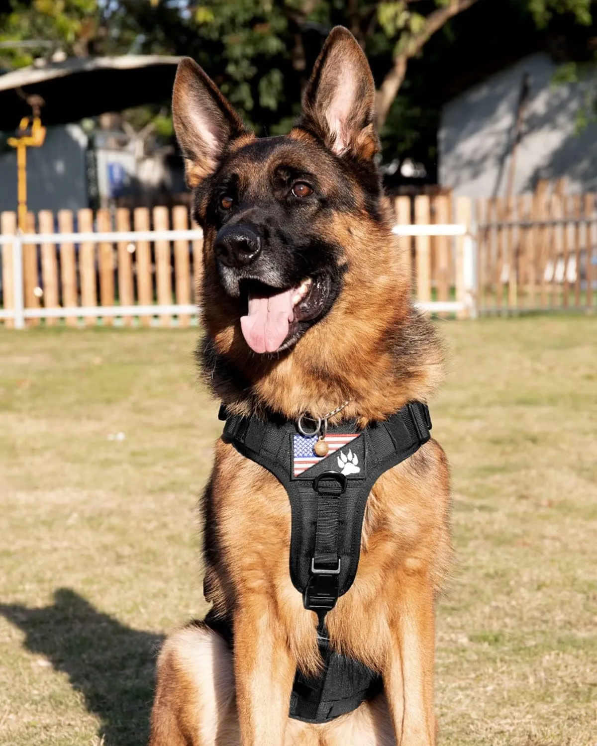 Tactical Dog Harness - PETNANNY Service Dog Vest for Large Dogs Fully Body Coverage in Training Dog Harness with 2 Reflective Dog Patches, Handle, Hook and Loop Panels, Dog MOLLE Vest (Black, XL)