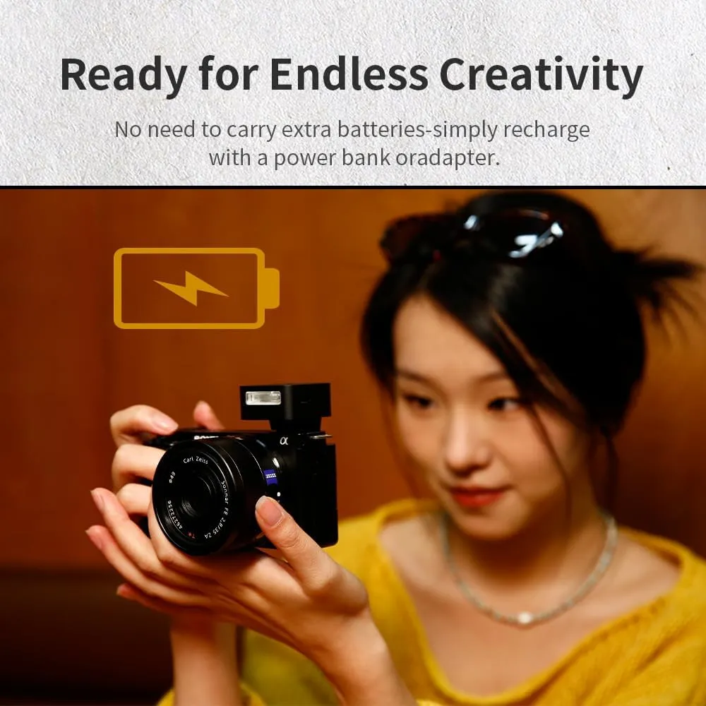 ZF08 Mini Camera Flash Speedlite- On Camera Flash GN16, 5 Power Levels, CCT 6500k ±200k with Universal Hot Shoe Mount ＜3s Fast Recycling for Sony/Canon/Nikon/Panasonic/Olympus (Silver, ZF08)